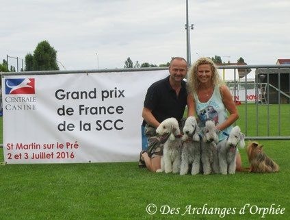 CH. toolbox Super trouper dite olga - Finaliste : 19ème en catégorie B