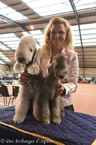 CH. toolbox Super trouper dite olga - Meilleur Champion en classe Honneur.