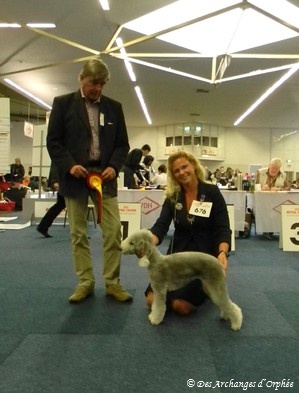 CH. toolbox Super trouper dite olga - Bundessieger /Championne nationale + BOS, CACIB & CAC.
