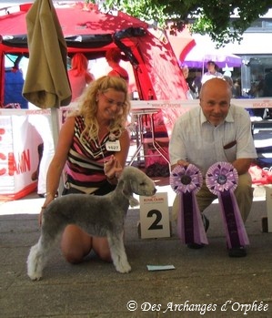 CH. toolbox Super trouper dite olga - BOB /Meilleur de Race & Champion du Palatinat.