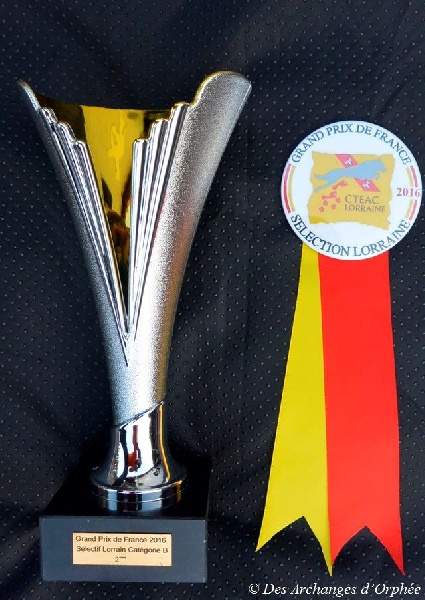 CH. toolbox Super trouper dite olga - 2nde des Sélectifs de Lorraine du Grand Prix de France 2016