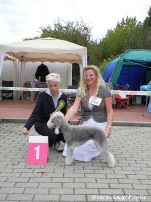 CH. toolbox Super trouper dite olga - Championne Jeune KfT Nationale Elevage 2011.