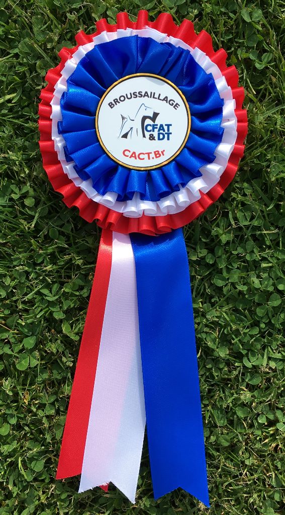 CH. toolbox Super trouper dite olga - 190 Pts, Excellent , CACT