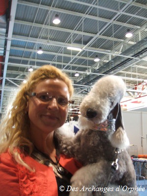 CH. toolbox Super trouper dite olga - Excellent.