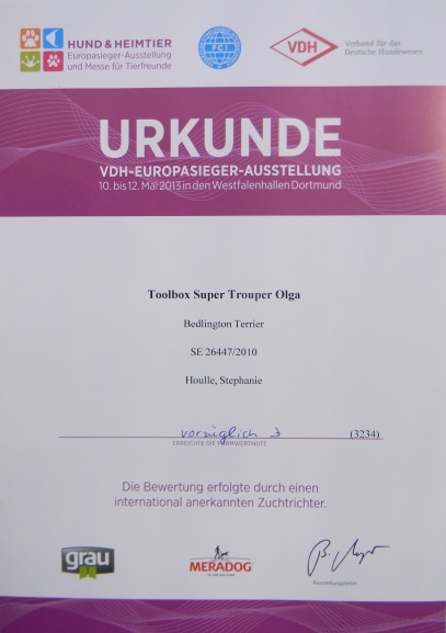 CH. toolbox Super trouper dite olga - Excellent 3 en classe Champion.