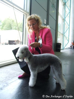 CH. toolbox Super trouper dite olga - 5ème Excellent -classe ouverte.