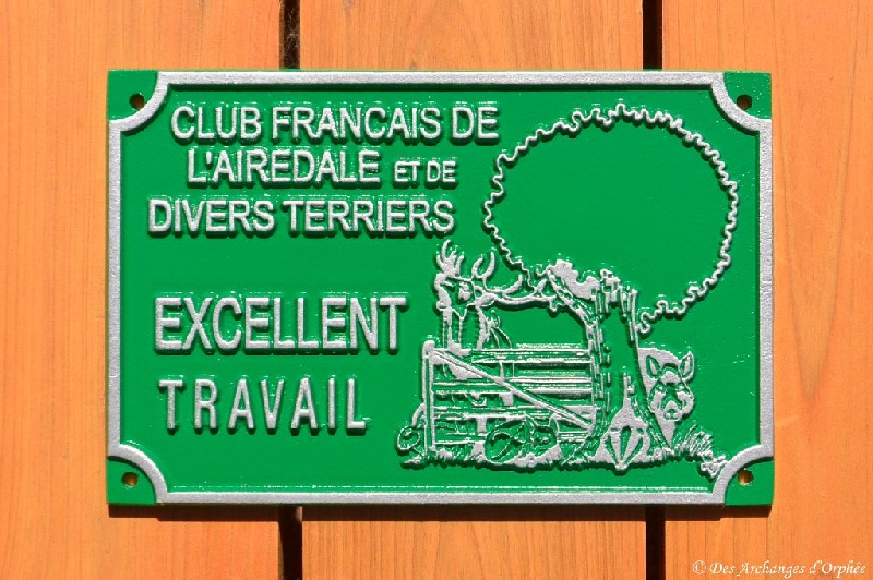 CH. toolbox Super trouper dite olga - Honorable / 116 pts & Brevet de chasse