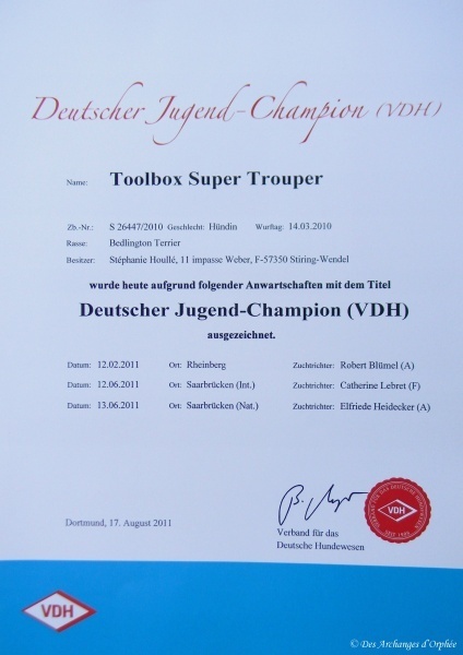 CH. toolbox Super trouper dite olga - Championne Jeune d'Allemagne (VDH).