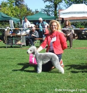 CH. toolbox Super trouper dite olga - BOB / Meilleure de race, CAC VDH et CAC KfT.