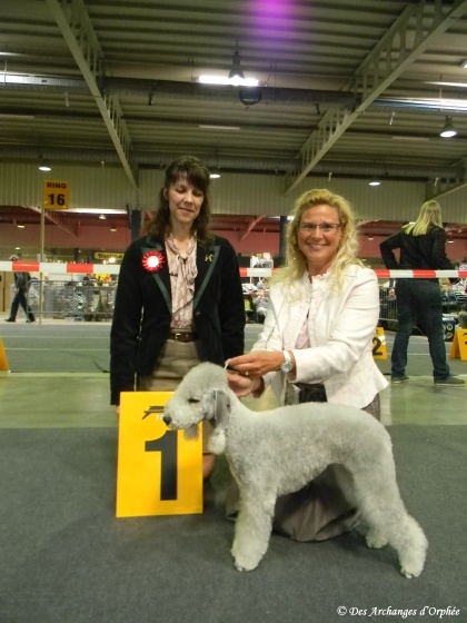 CH. toolbox Super trouper dite olga - Championne du Luxembourg.