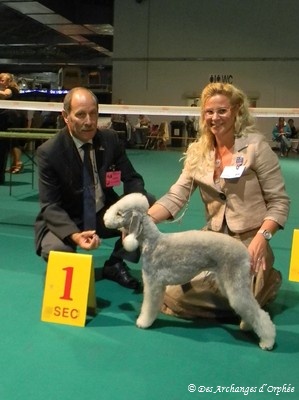 CH. toolbox Super trouper dite olga - BOB de la race & BOB Jeune.