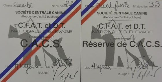 CH. toolbox Super trouper dite olga - 1ère Excellent en classe Travail, r-BIS Travail et BIS Paire.