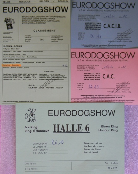 CH. toolbox Super trouper dite olga - BOB /Meilleure de race, CACIB + CAC