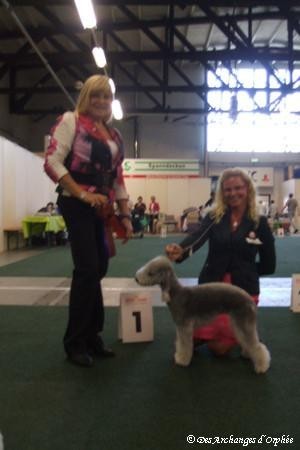 CH. toolbox Super trouper dite olga - BOB, CACIB & Championne de Sarre