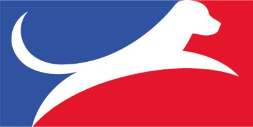 CH. toolbox Super trouper dite olga - 9ème - catégorie B /Grade 2