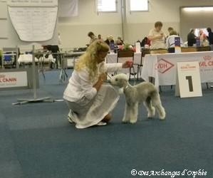 CH. toolbox Super trouper dite olga - 1ère VG Classe Jeune.