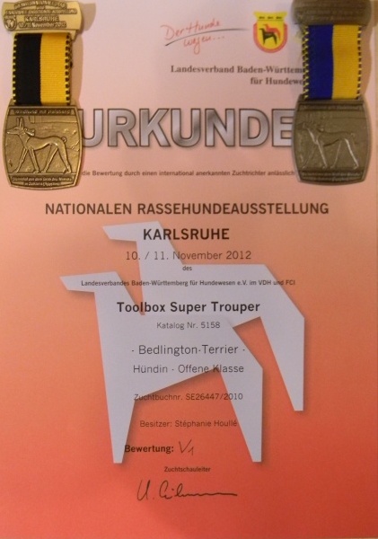 CH. toolbox Super trouper dite olga - 1ère Excellent -classe Ouverte, CAC VDH, RCAC KfT.