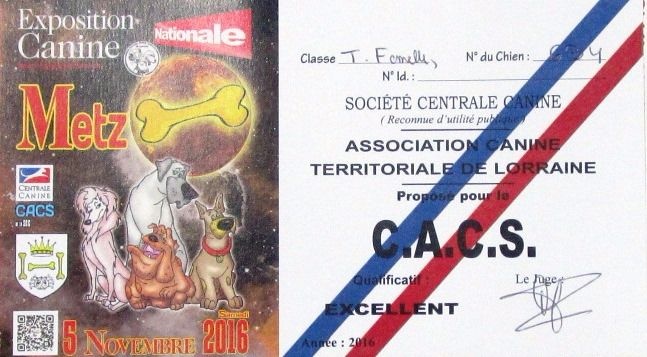 CH. toolbox Super trouper dite olga - 1ère Excellent Classe Travail, CACS.