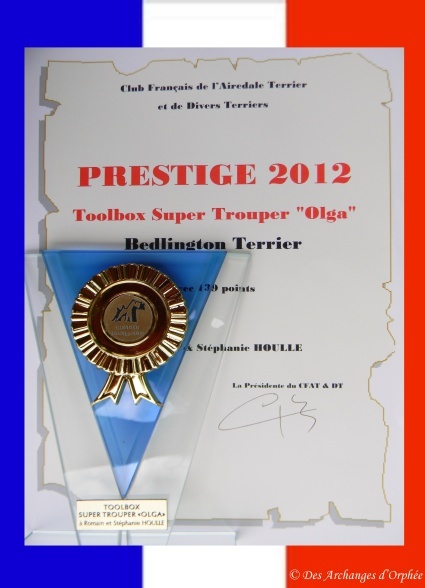 CH. toolbox Super trouper dite olga - Trophée "Prestige" pour l'année 2012.