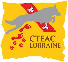 CH. toolbox Super trouper dite olga - Sélection Lorraine et Finaliste du Championnat de France d'Agility 2017.