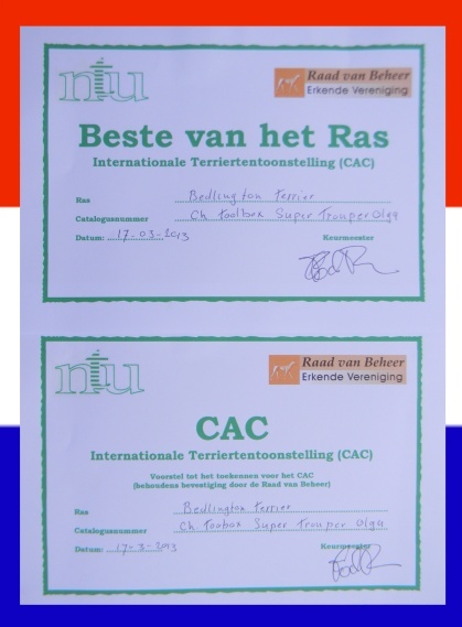 CH. toolbox Super trouper dite olga - BOB /Meilleure de race, CAC.