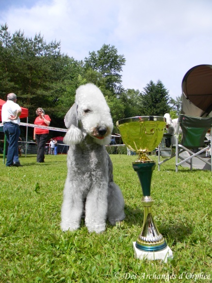 CH. toolbox Super trouper dite olga - 1ère Excellent en classe Champion, 2nde Meilleure paire avec Tsarine.