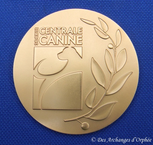 CH. toolbox Super trouper dite olga - Sélection "CACS Femelle N.E".