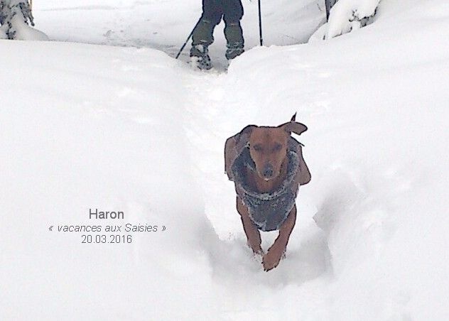 Haron De La Tour De Cruzières