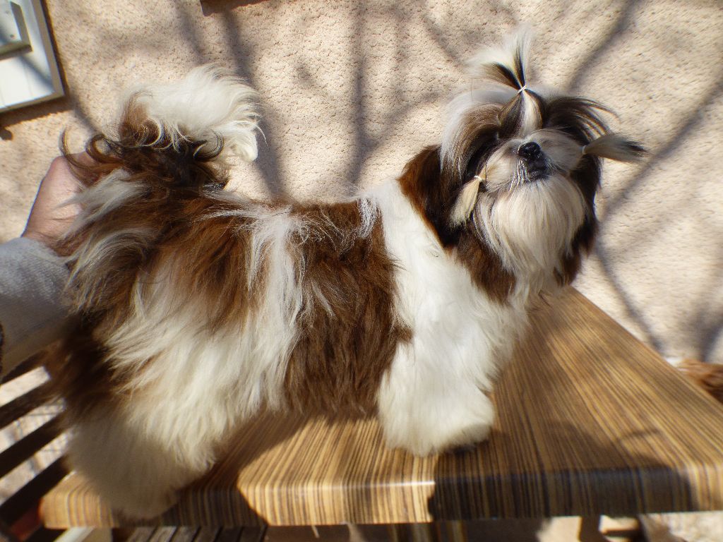 Mahalya Du Domaine Du Shiloh