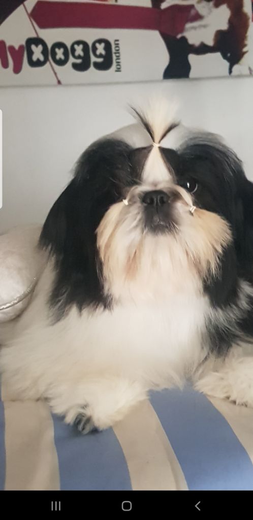 Publication : Made In Albizzia