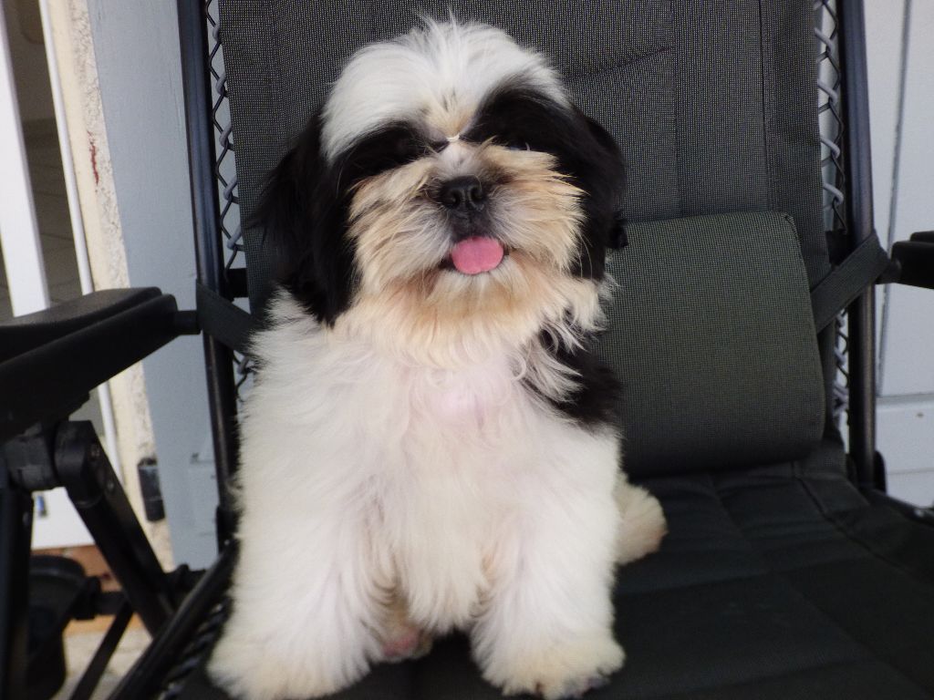 Publication : Made In Albizzia