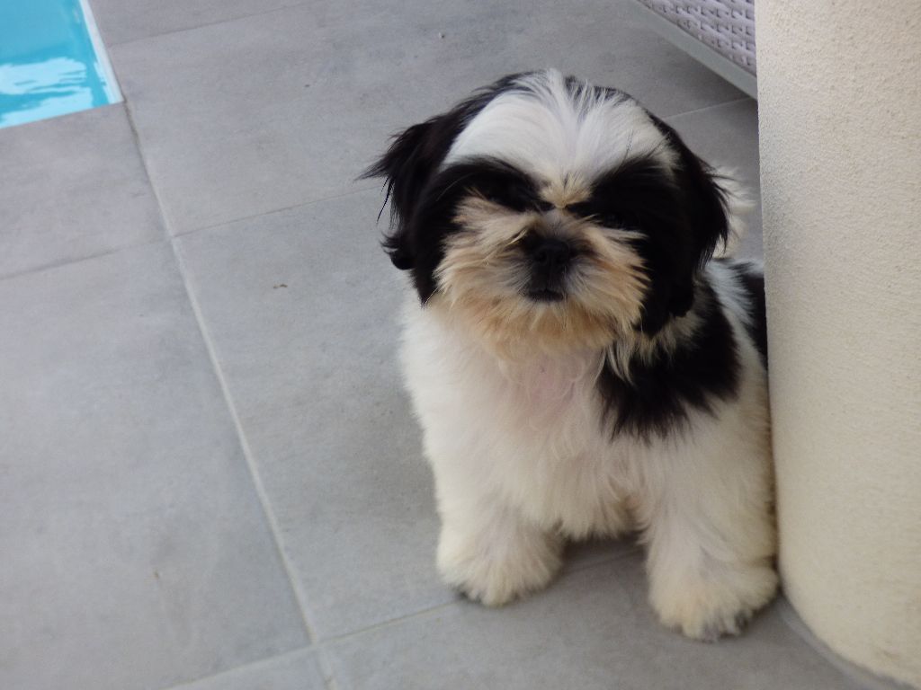 Publication : Made In Albizzia