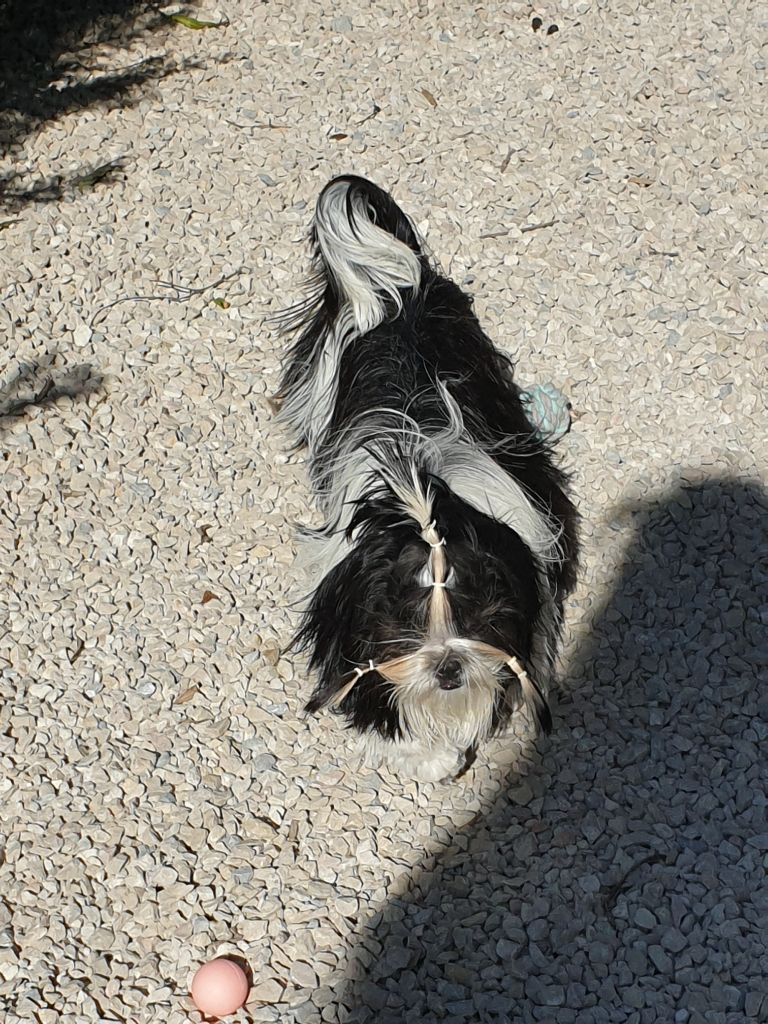 Publication : Du Domaine Du Shiloh