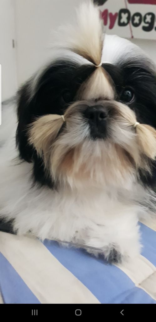 Publication : Made In Albizzia