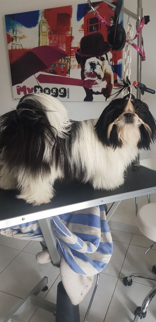 Publication : Made In Albizzia