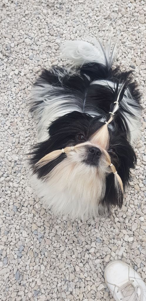 Publication : Made In Albizzia