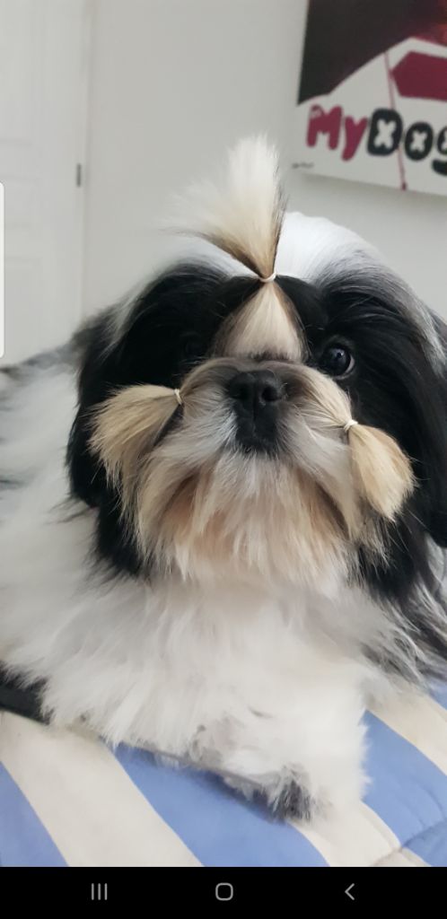 Publication : Made In Albizzia