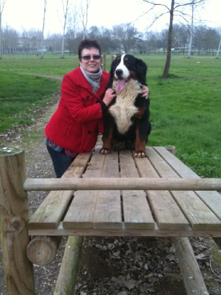 Publication : Du royaume d'Attila