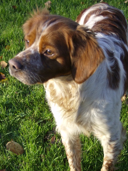 Publication : De La Source Aux Perdrix