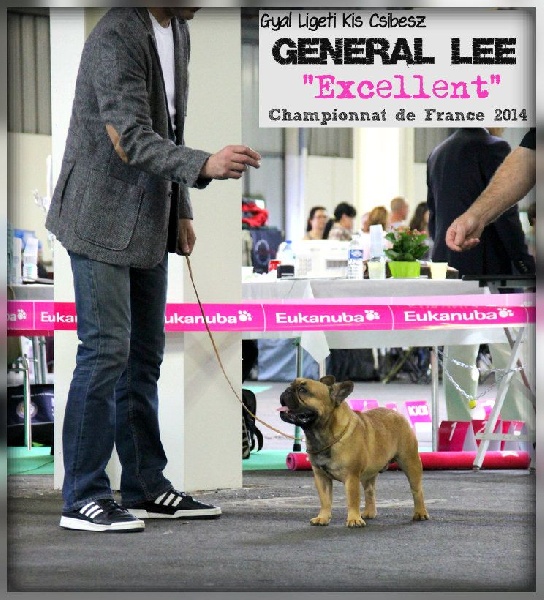 gyal-ligeti-kis-csibész Général lee - Excellent