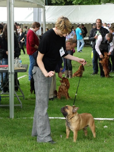 gyal-ligeti-kis-csibész Général lee - 3ème EXCELLENT