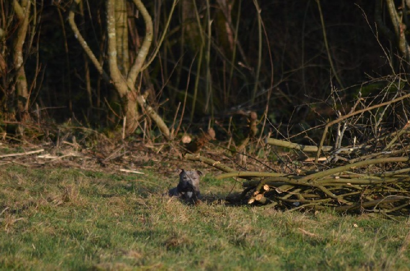 Publication : Of Christal Heart'S