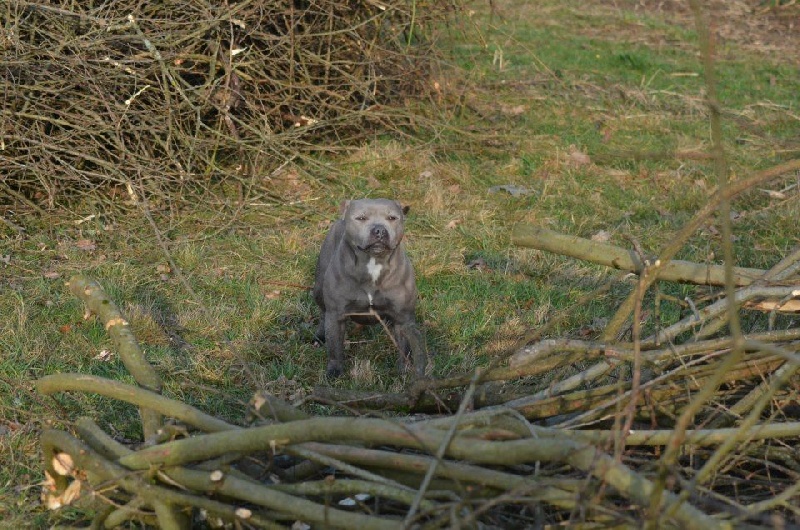 Publication : Of Christal Heart'S