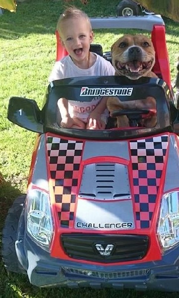 Goldstrike cola Of Christal Heart'S