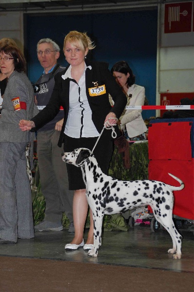 Castille de l'antre des limiers d'argent - Très Bon non classée