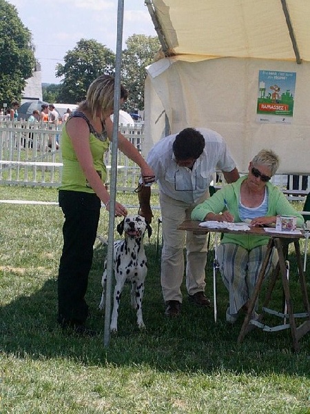 Castille de l'antre des limiers d'argent - 1ère Excellent, CACS, meilleur de race