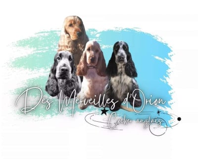 Des Merveilles D'orion