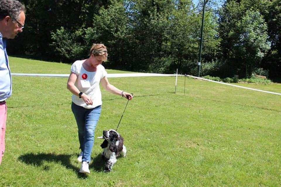 CH. Multip réelle Des Merveilles D'orion - Très prometteur