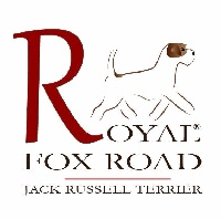 Royal Fox Road
