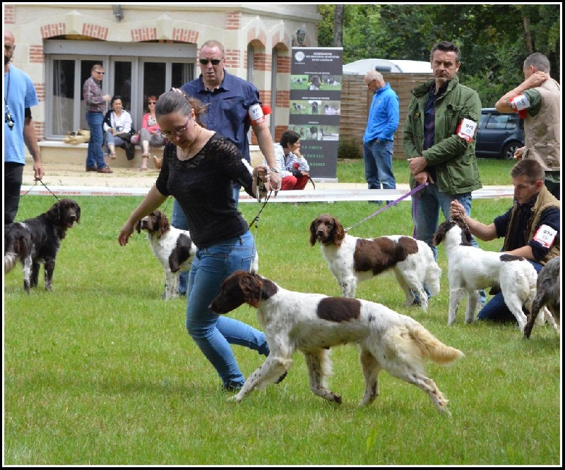 Gaïa Du bois de riancey - Excellent Non Classé